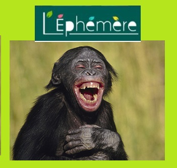 lephemere et club de rire
